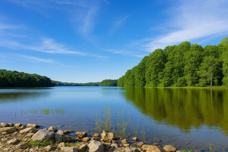 Best Shower Installation pros in Burke, VA